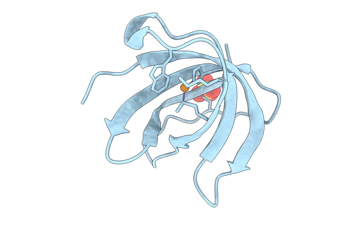 2VB2 image