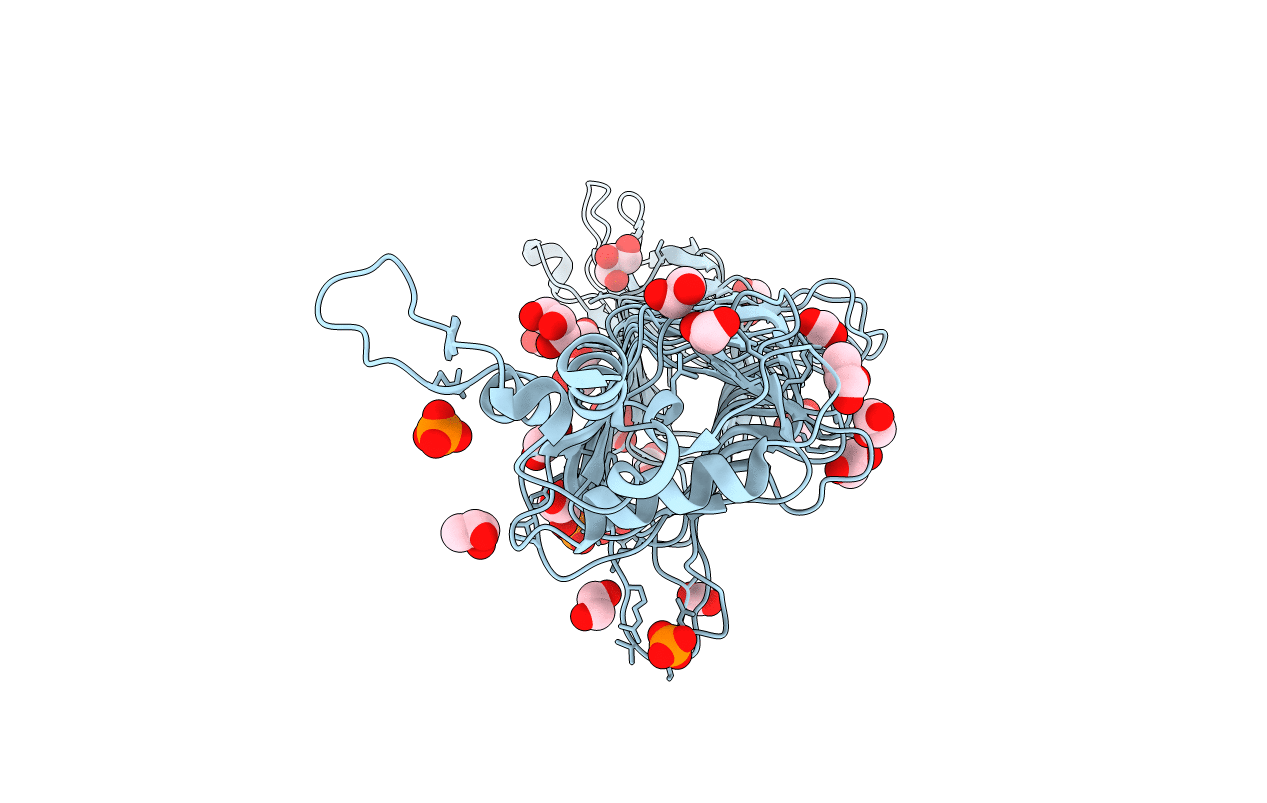 2VBK image