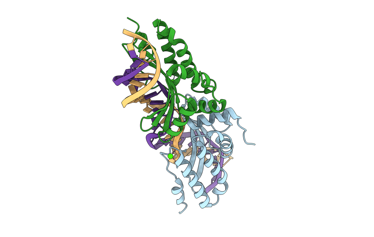 2VBO image