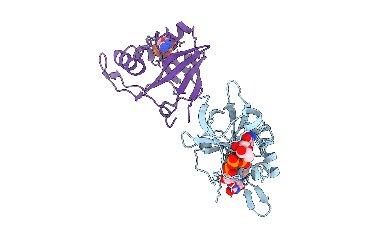 2VBV image