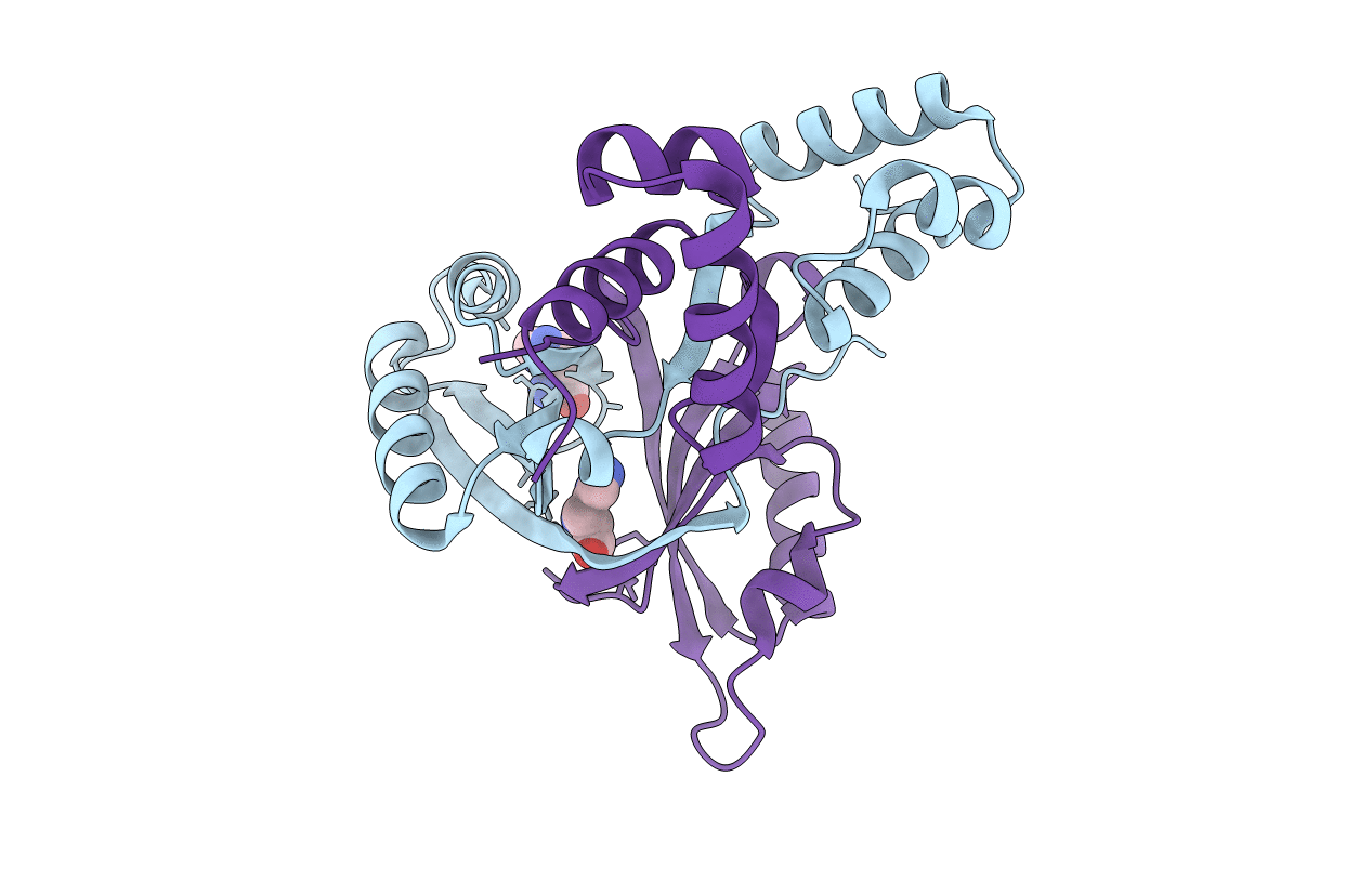 2VBX image