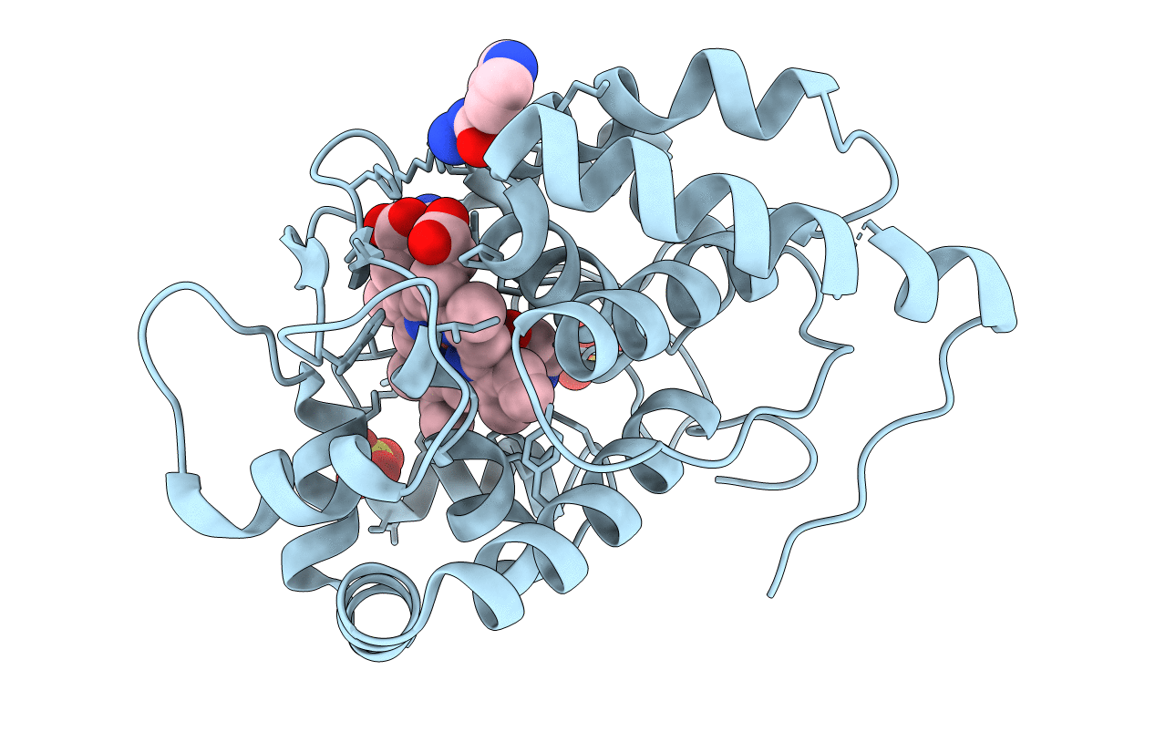 2VCN image