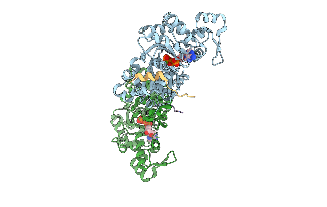 2VCP image