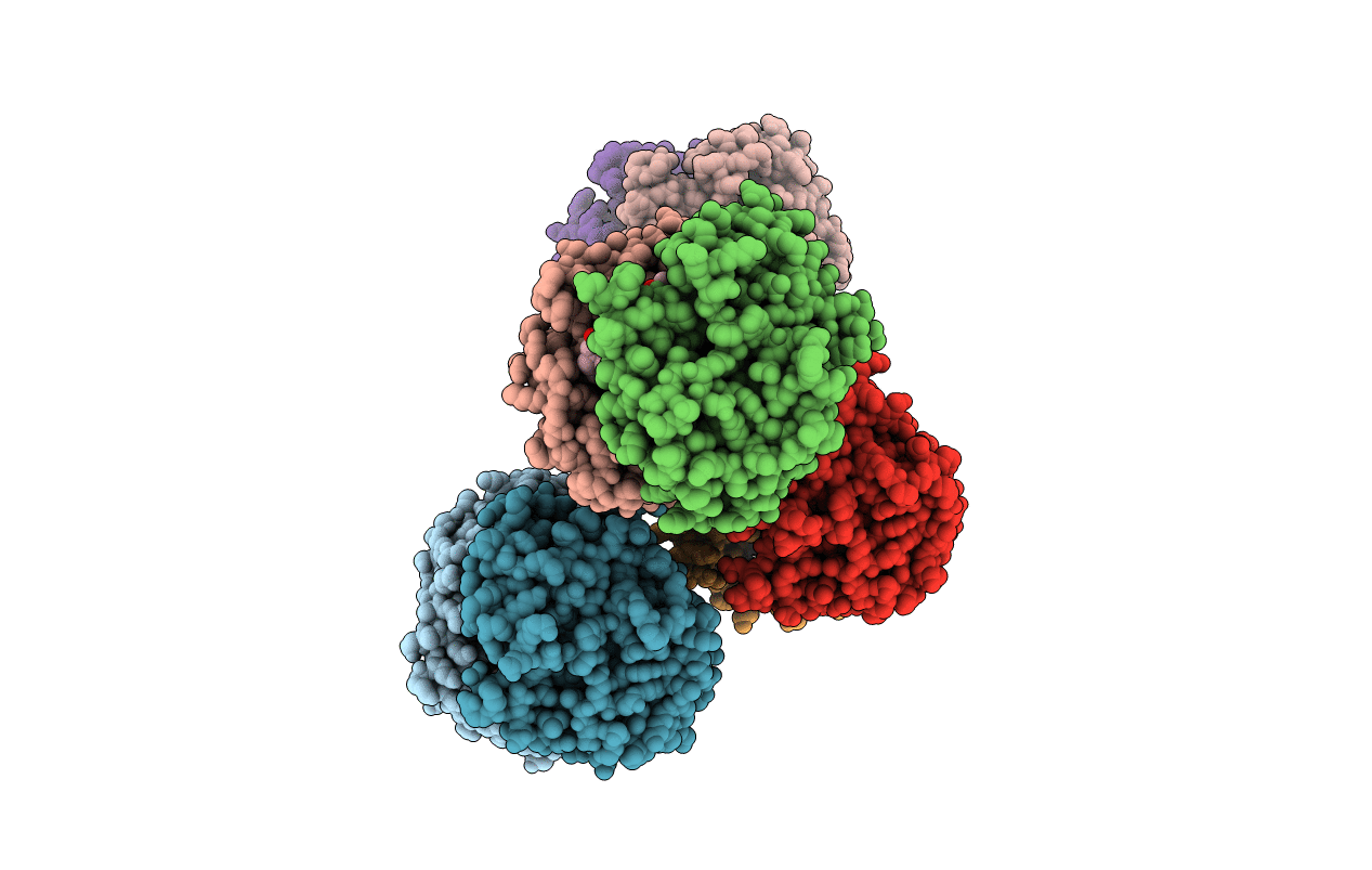2VCT image