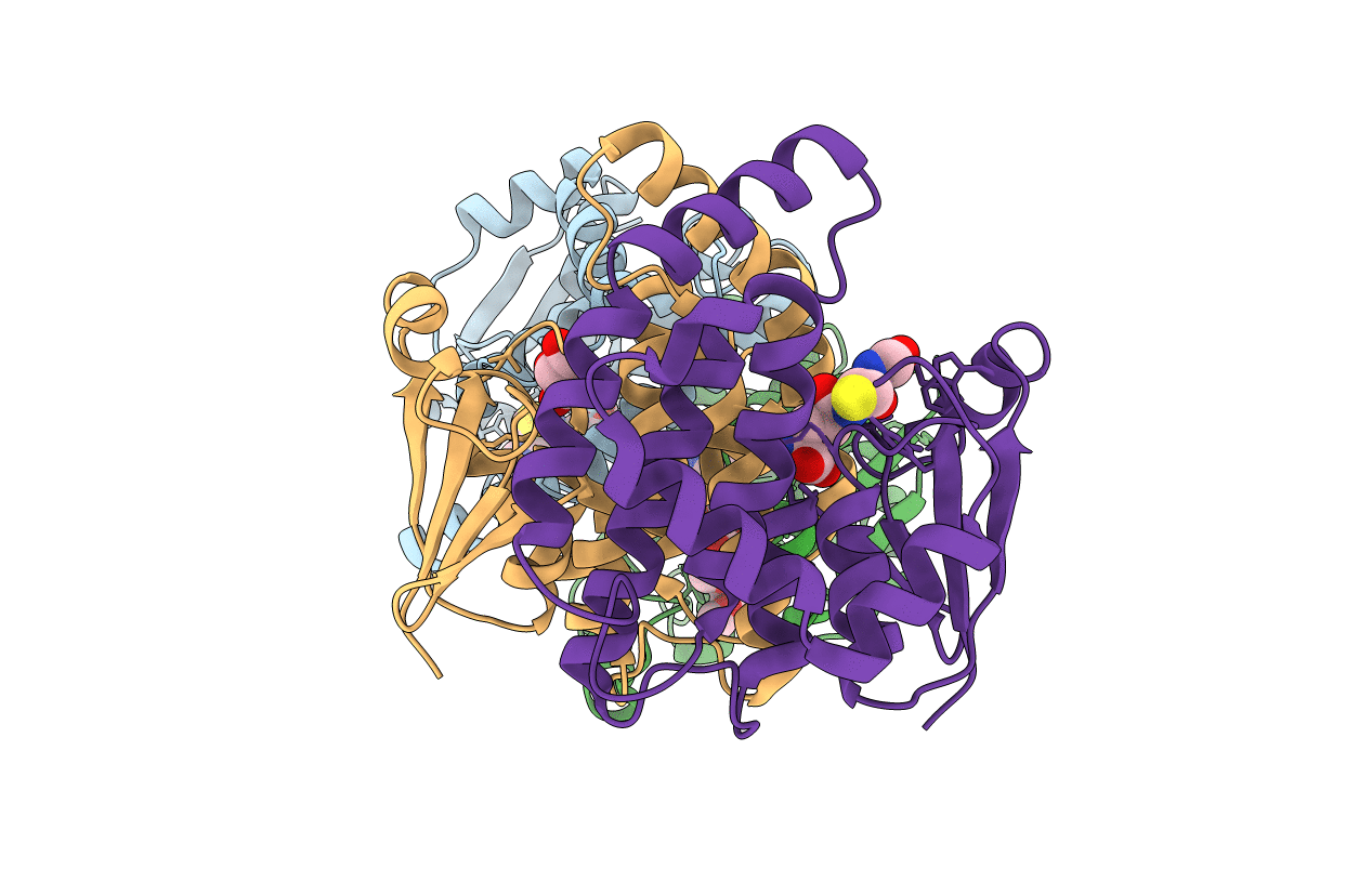 2VD0 image