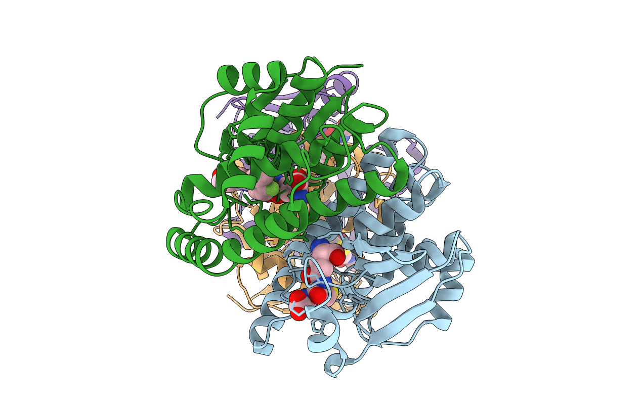 2VD1 image