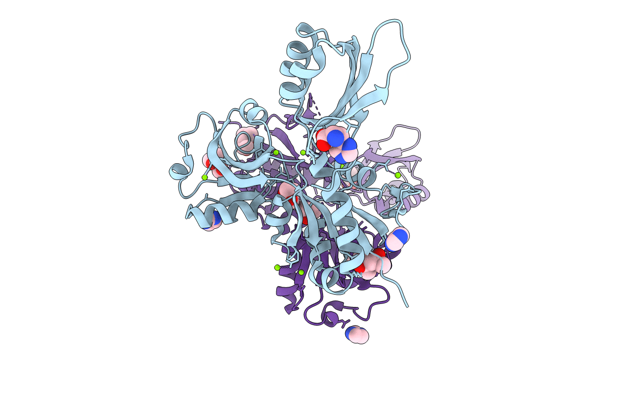 2VD3 image