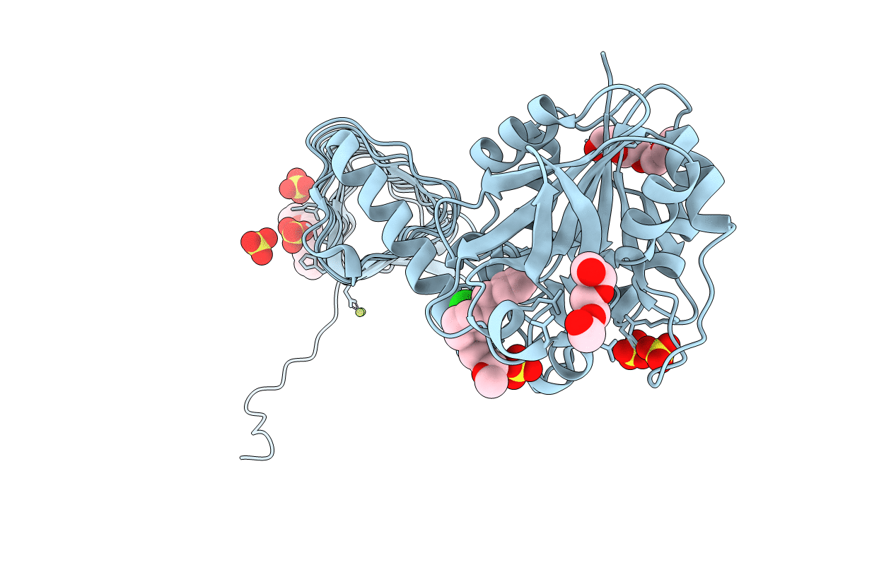 2VD4 image