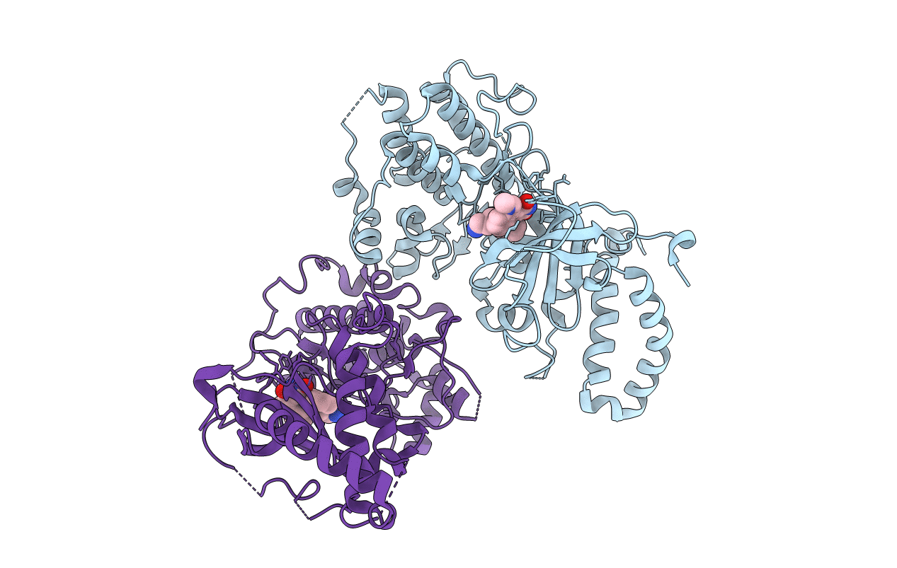 2VD5 image