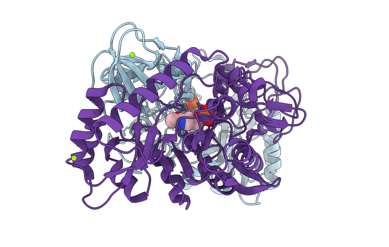 2VD8 image