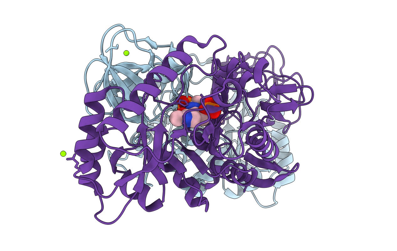 2VD9 image