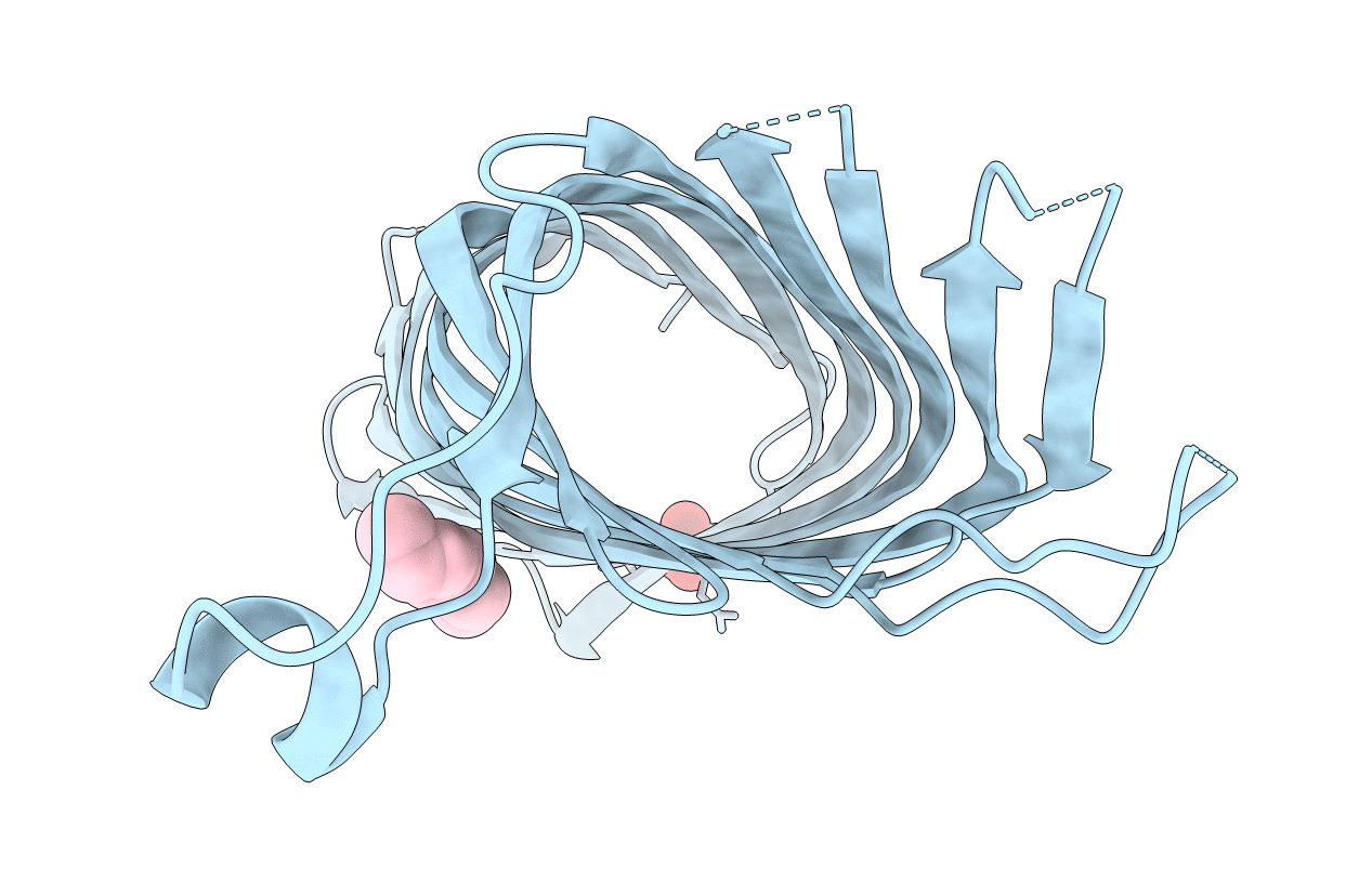 2VDF image