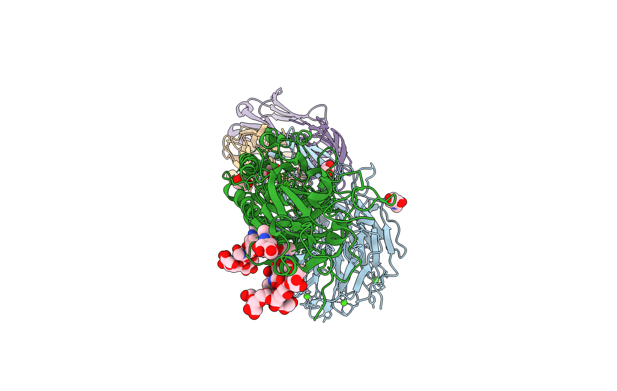 2VDL image