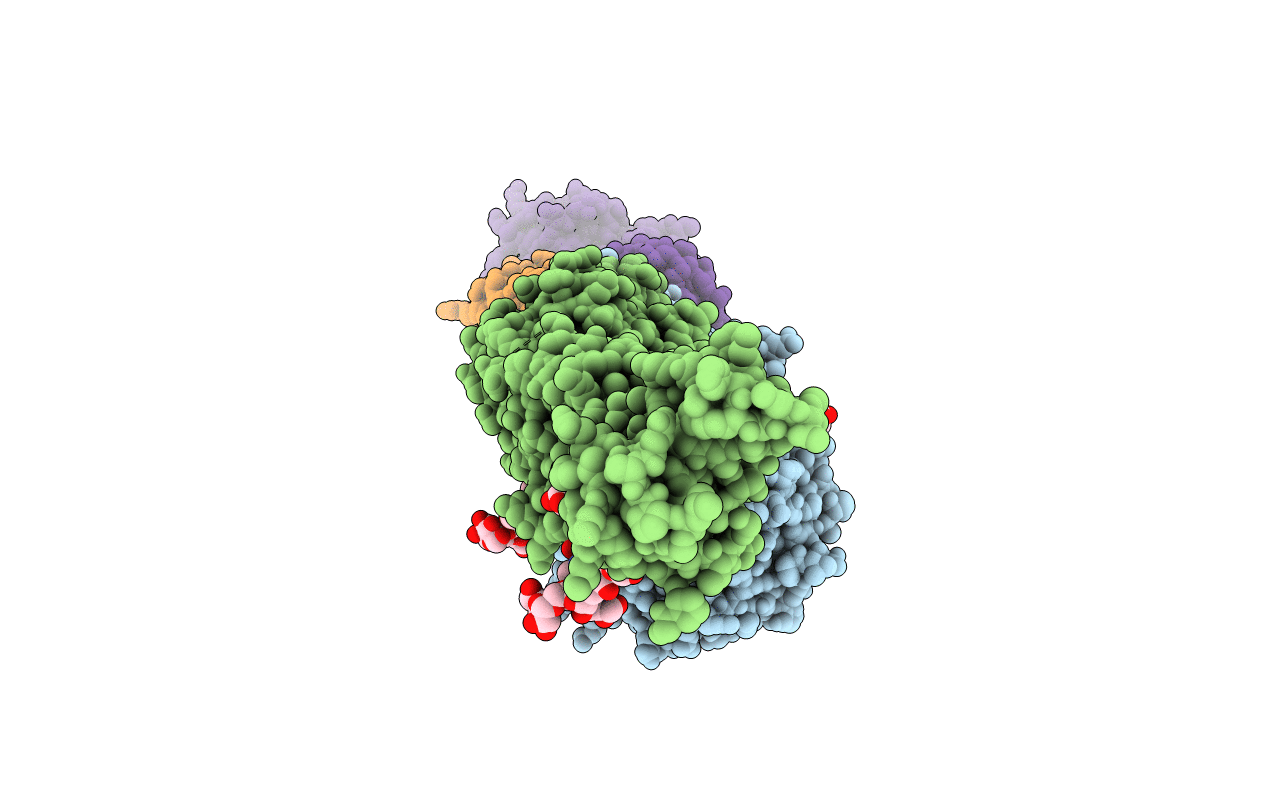 2VDP image