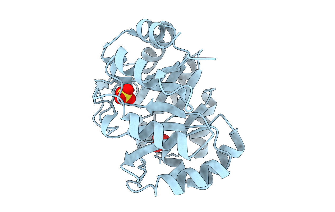 2VEP image