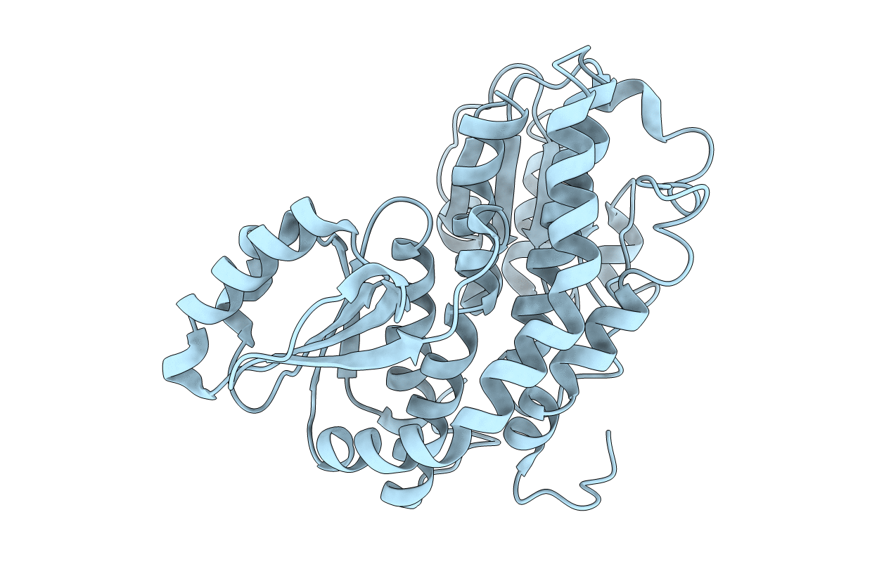 2VF4 image