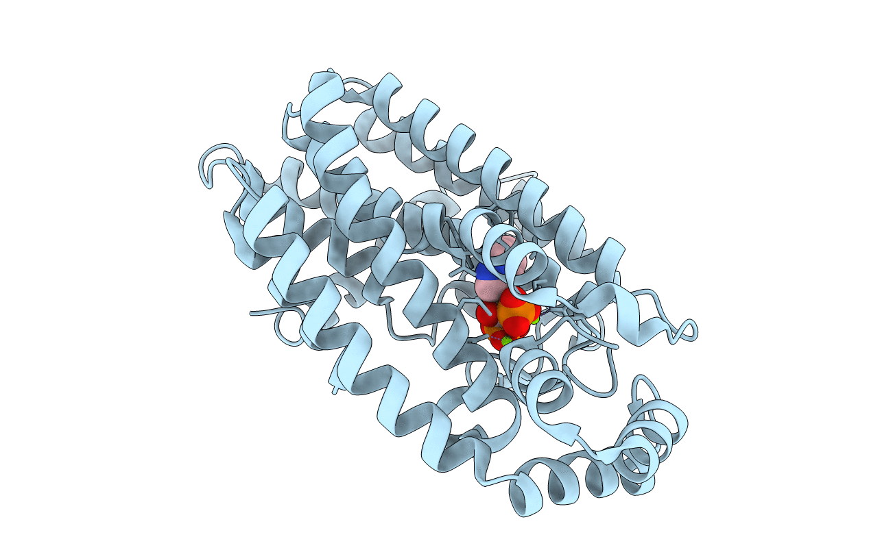2VF6 image