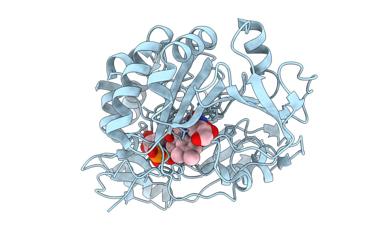 2VFS image