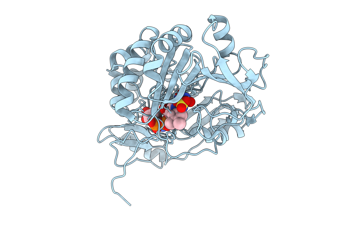 2VFV image