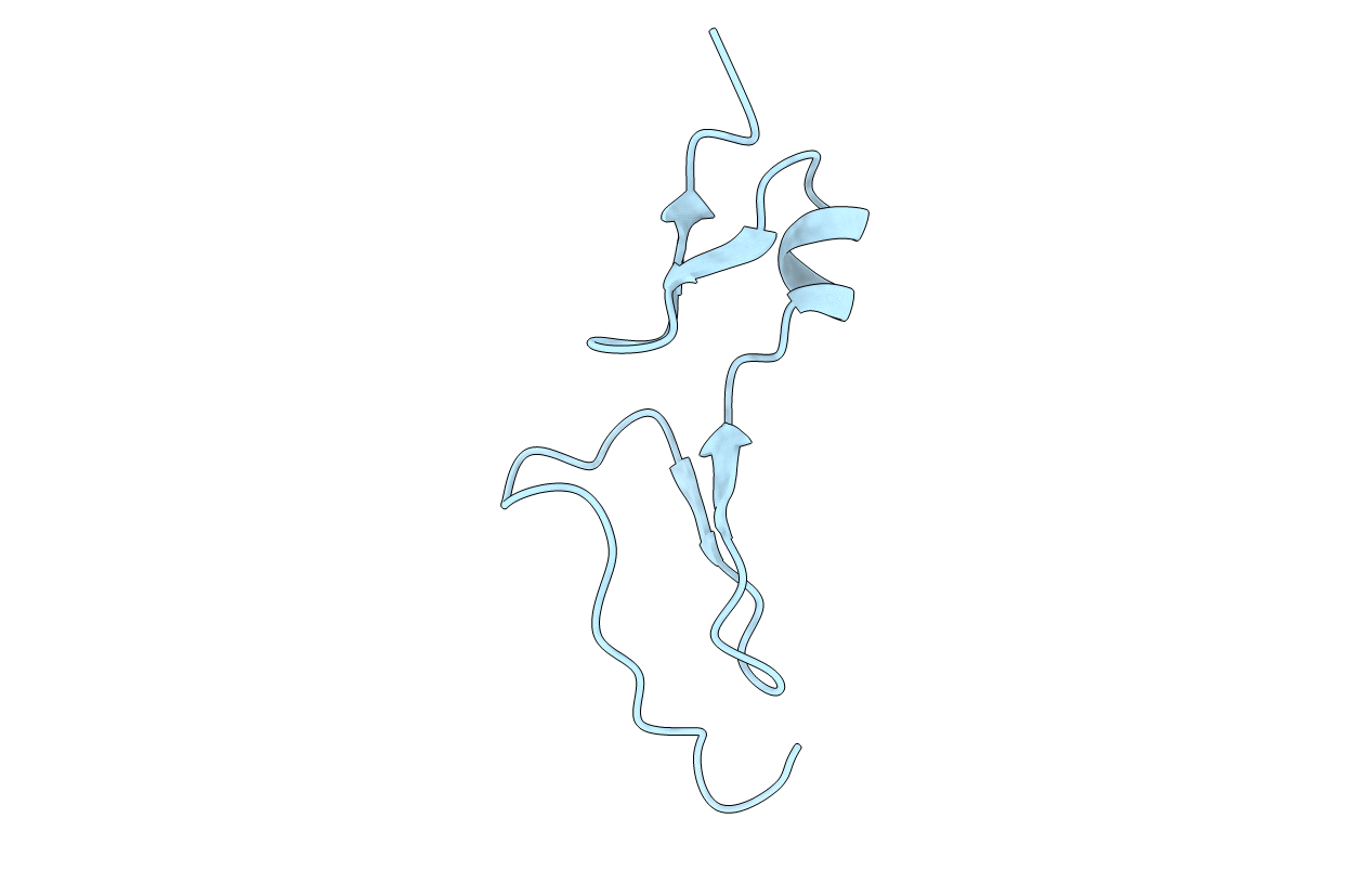 2VGH image