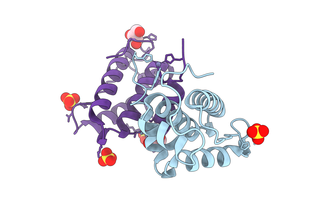 2VH3 image