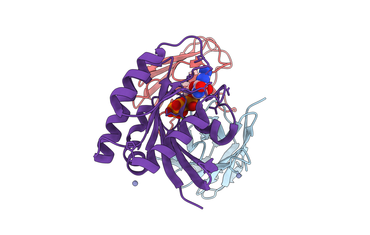2VH5 image