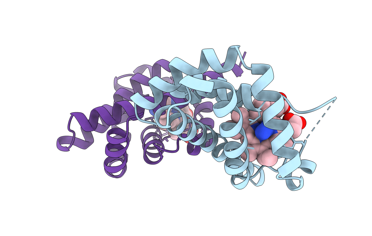2VHB image