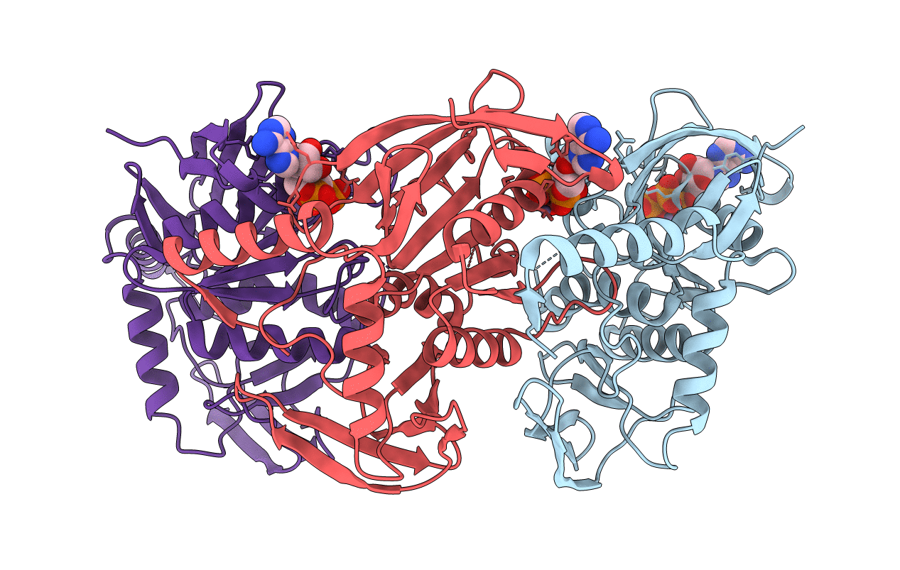 2VHC image