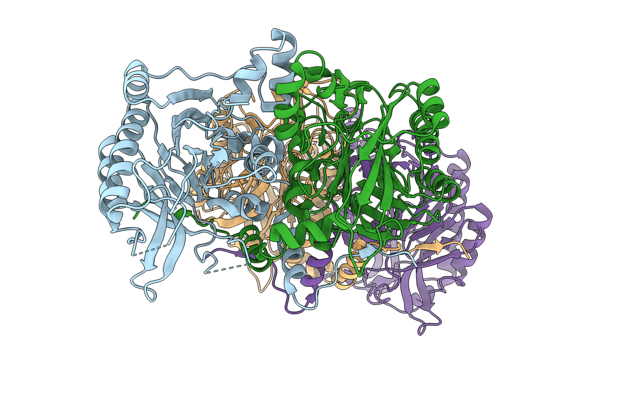 2VHH image