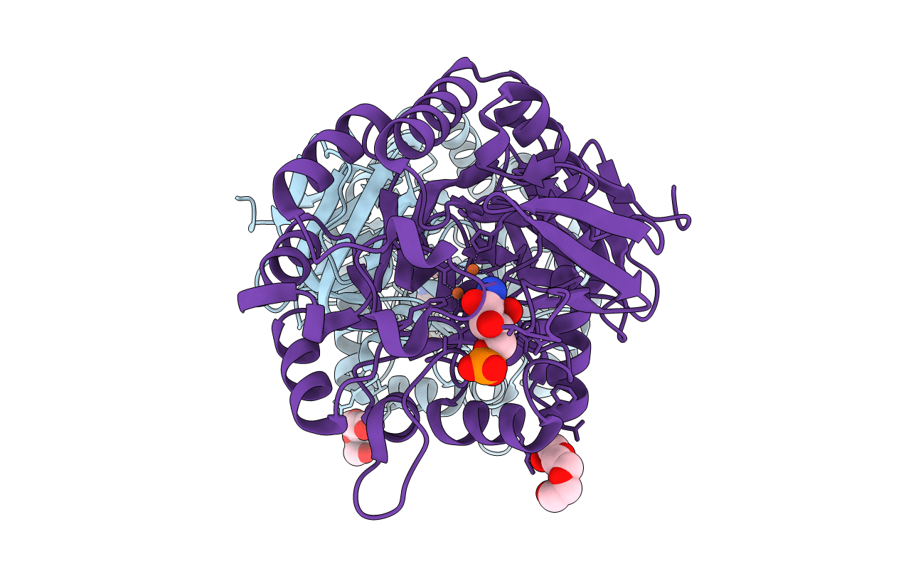 2VHL image
