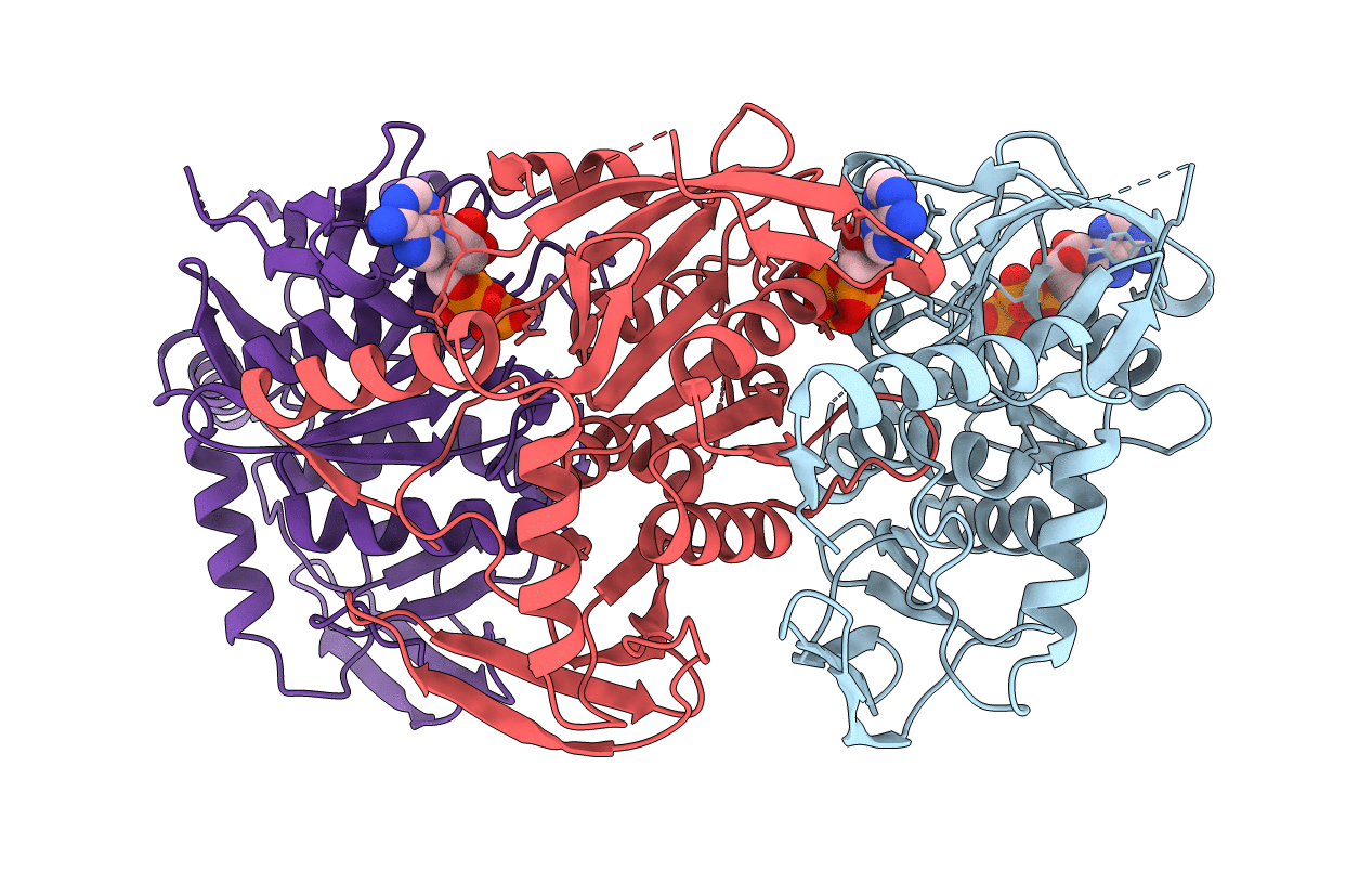 2VHT image