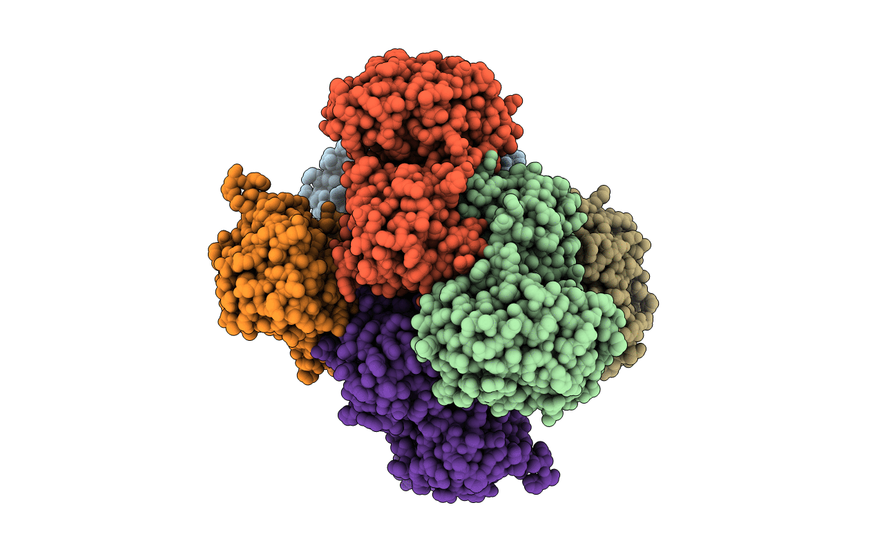 2VHW image