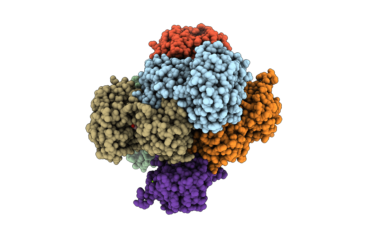 2VHX image