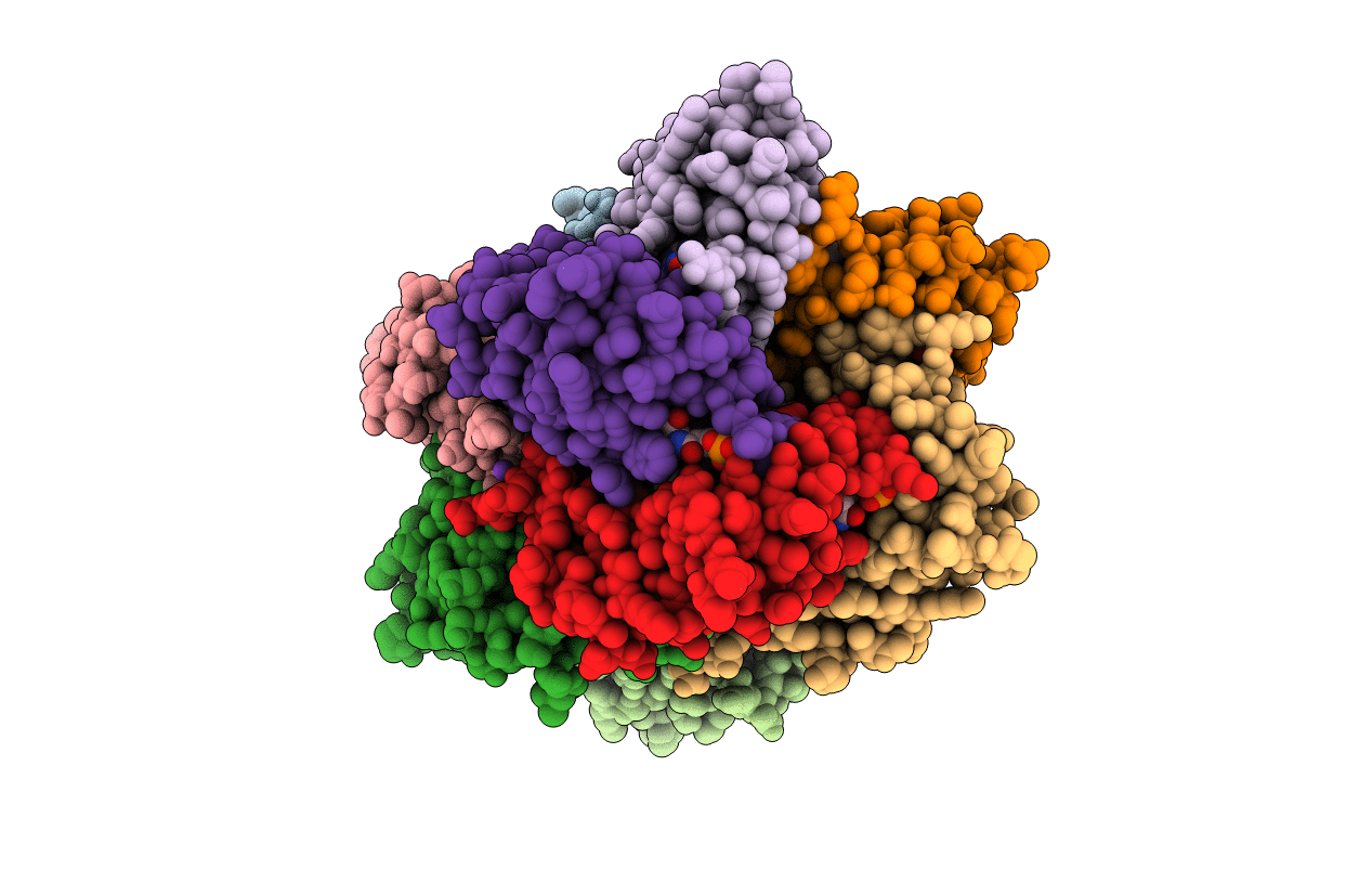 2VI5 image