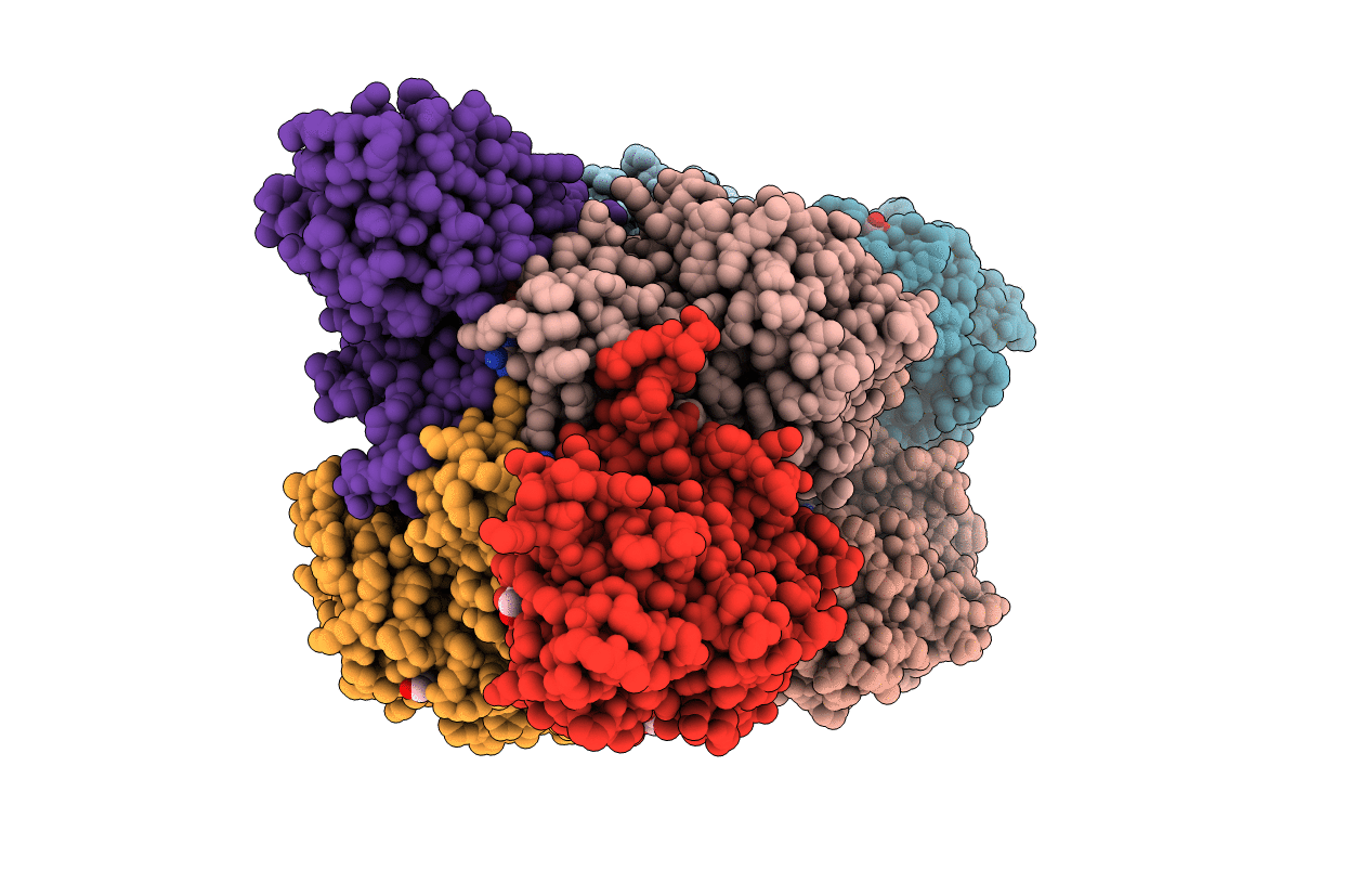 2VIG image