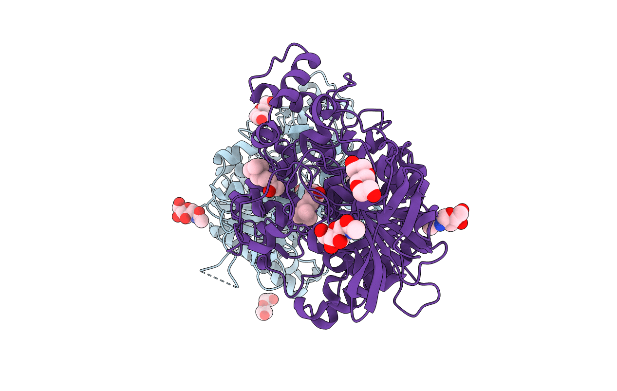2VJB image