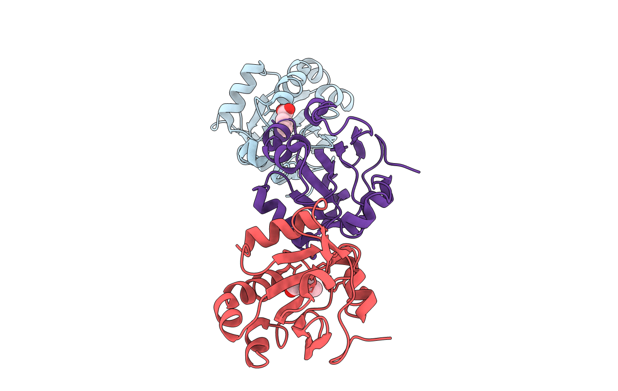 2VL2 image