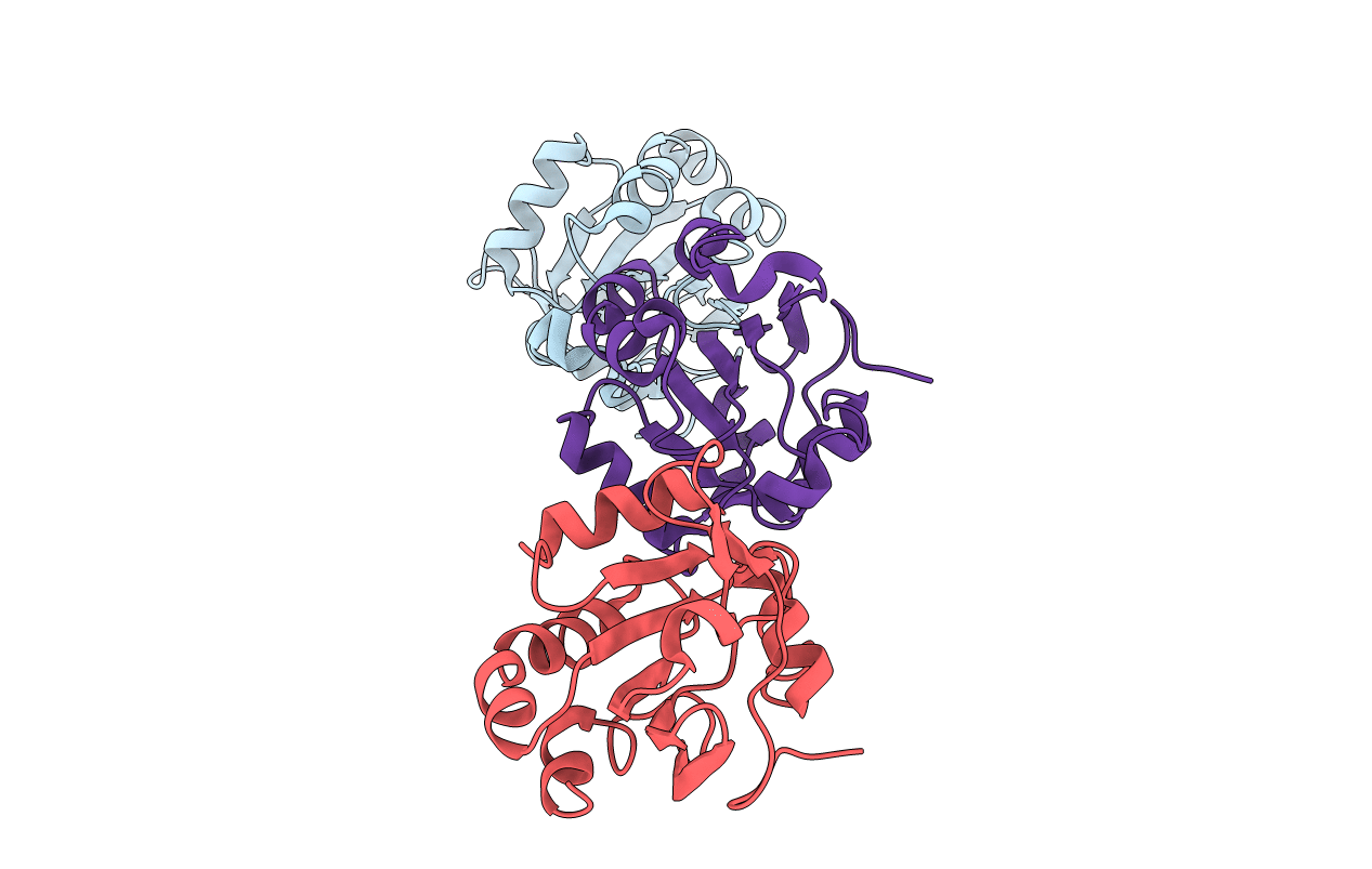 2VL3 image
