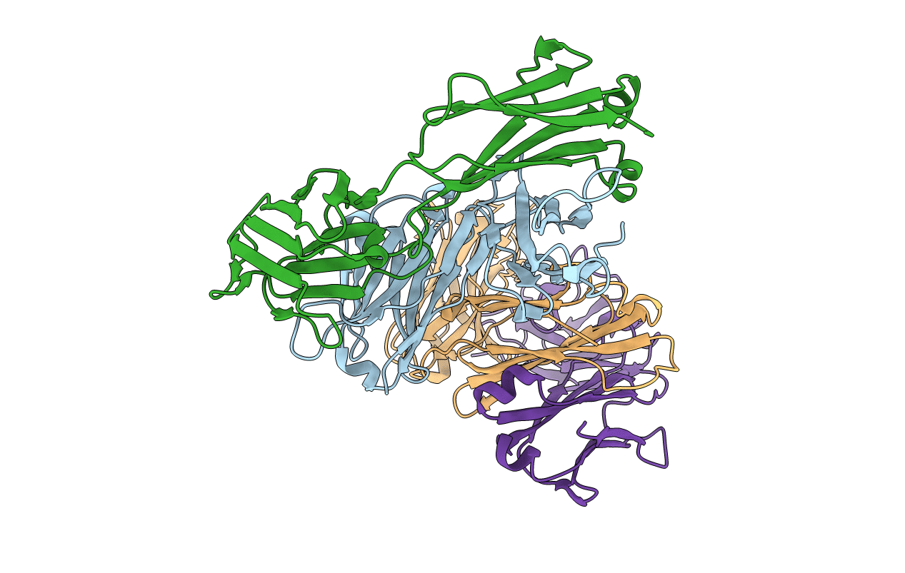 2VL5 image