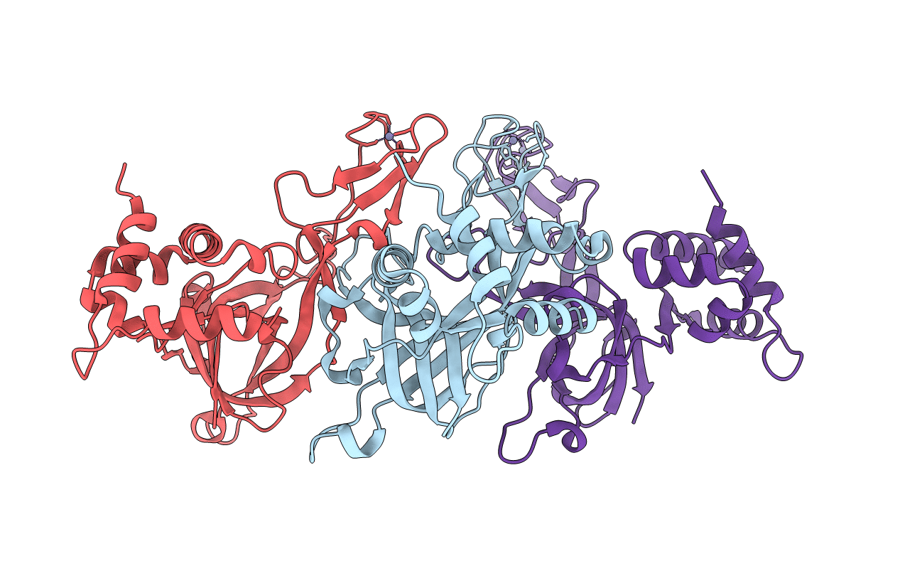 2VL6 image