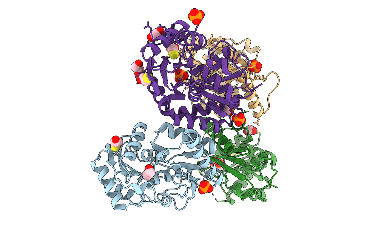 2VLB image