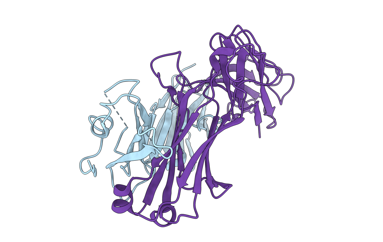 2VLM image
