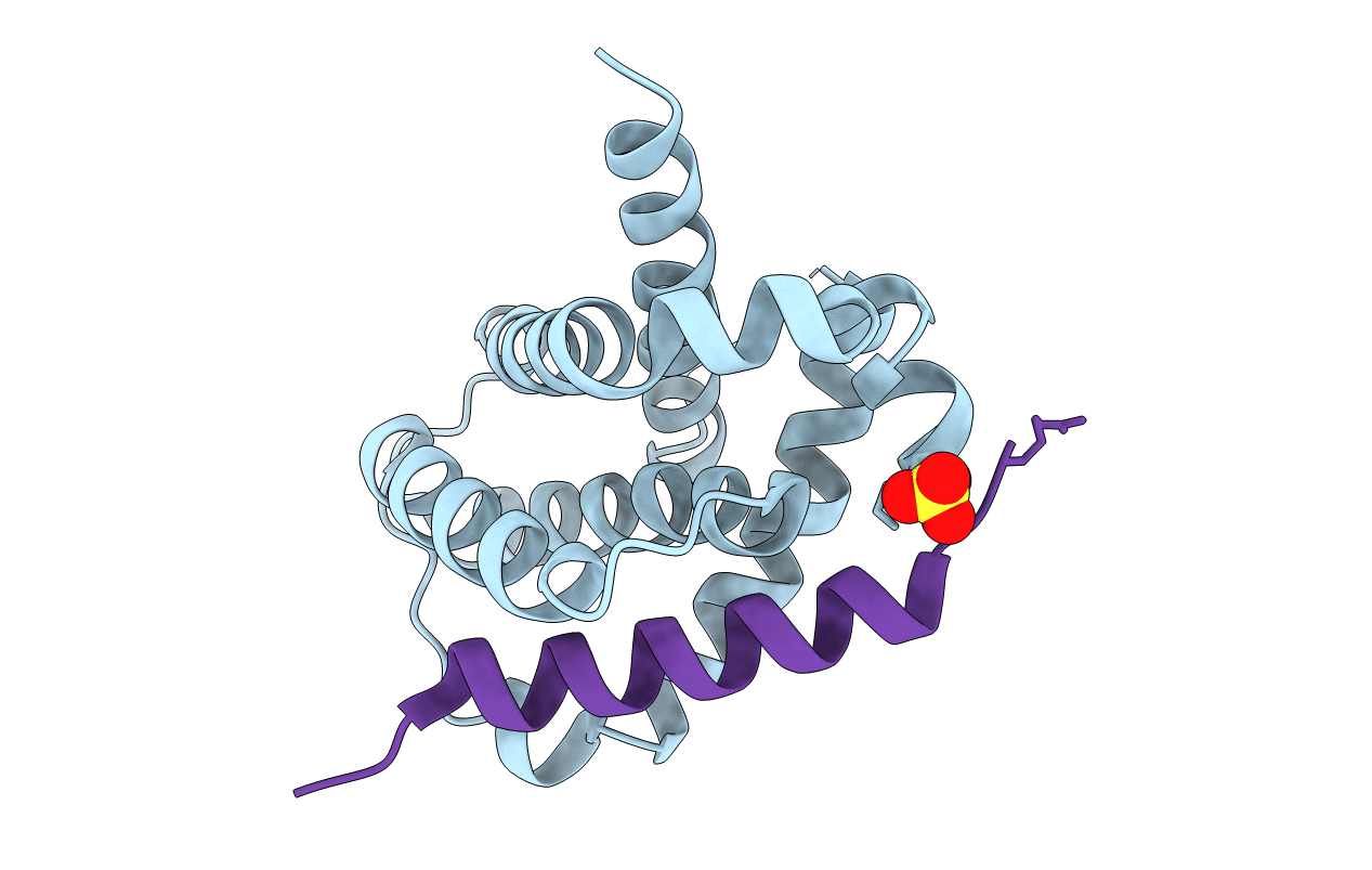 2VM6 image
