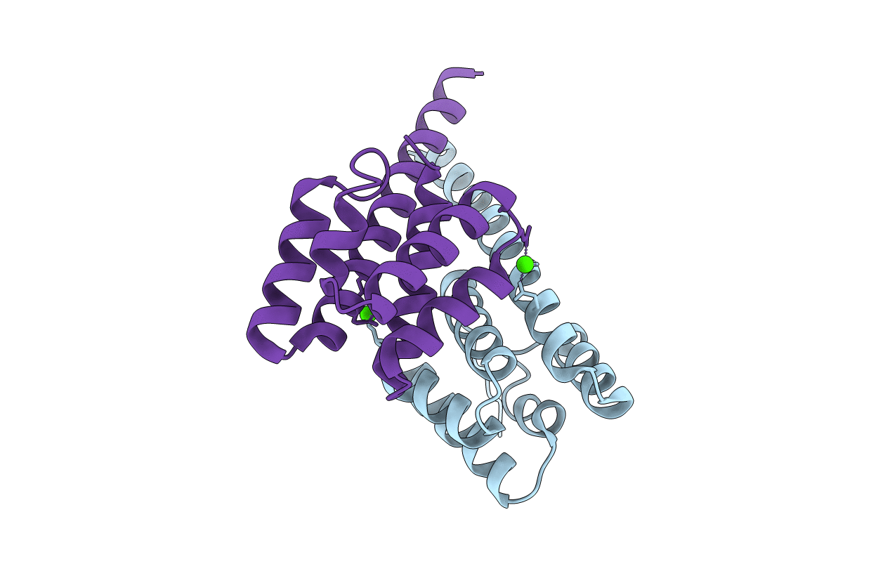 2VMB image