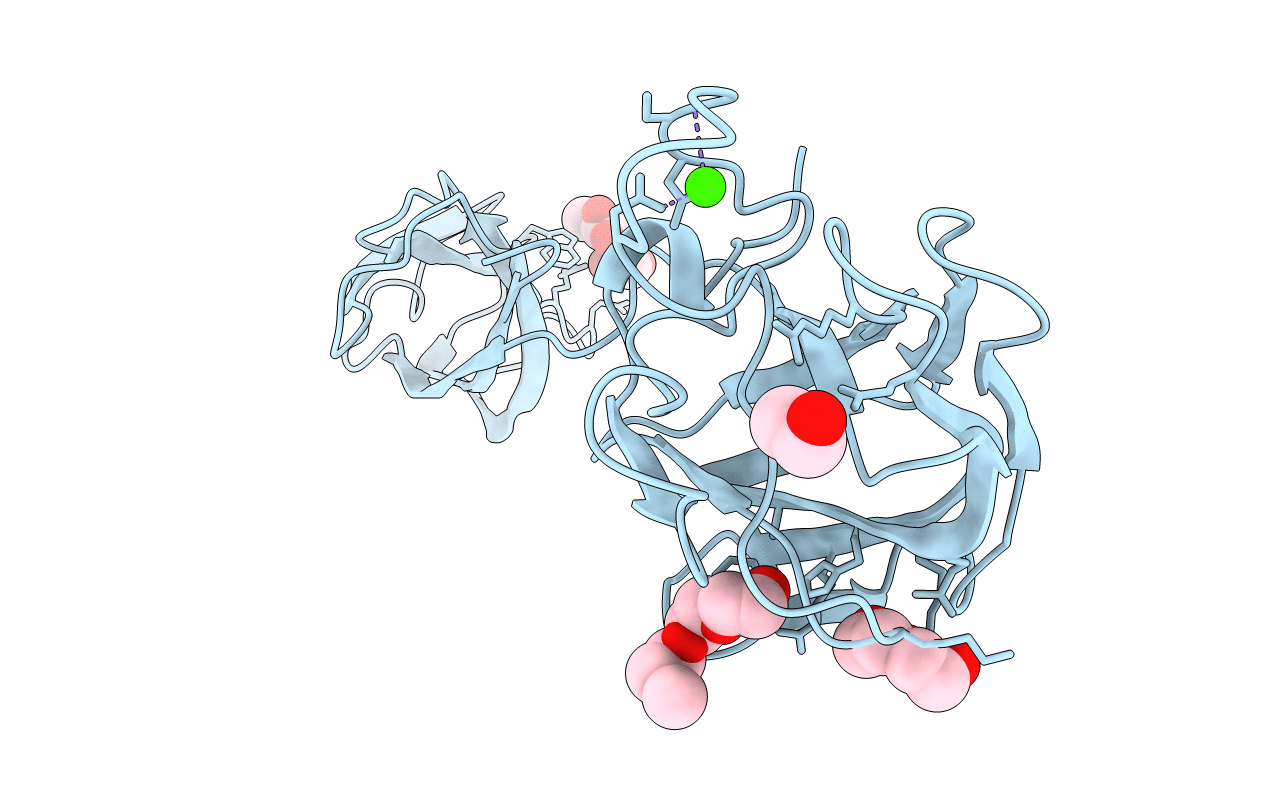 2VMD image