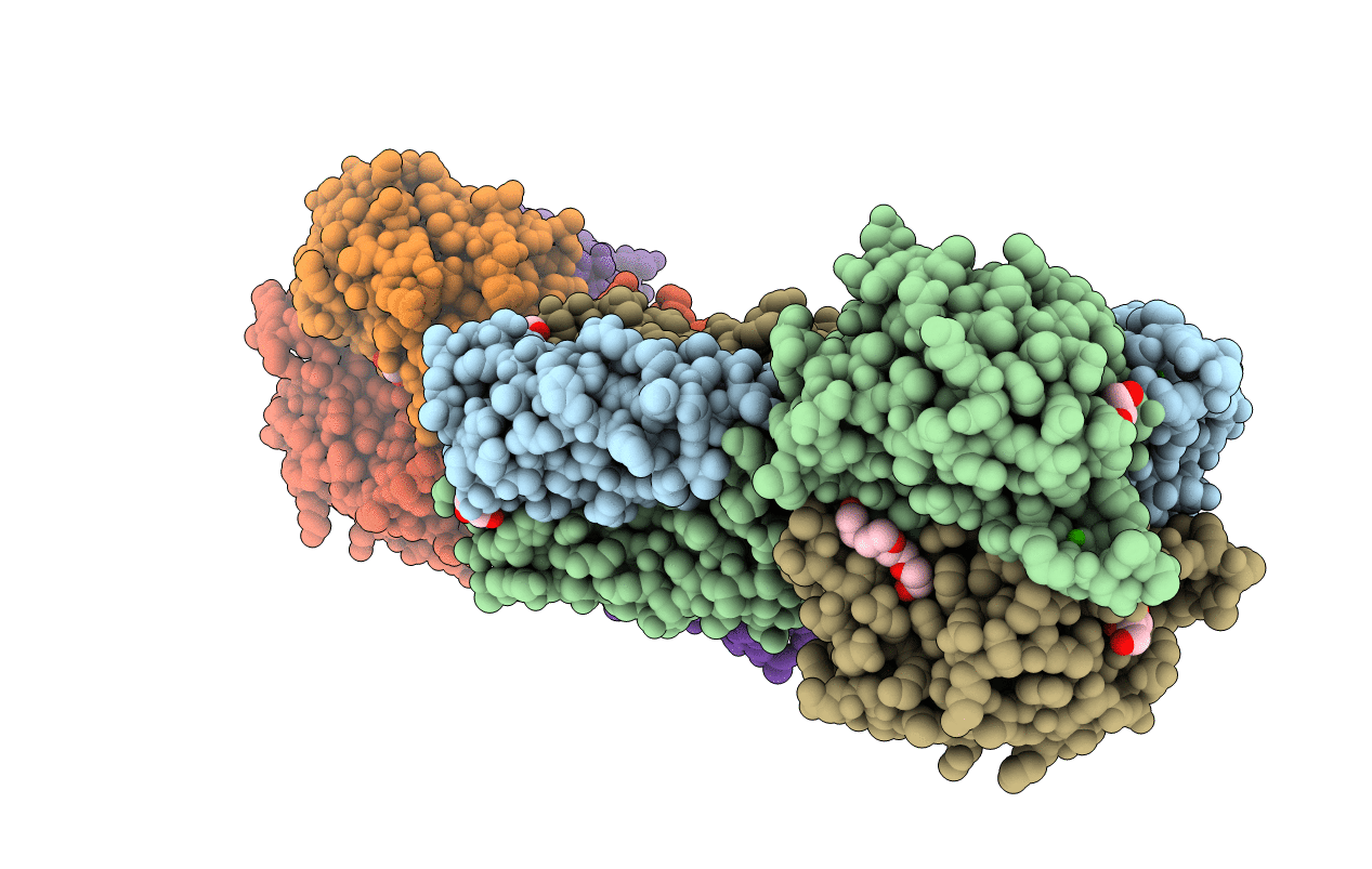 2VME image