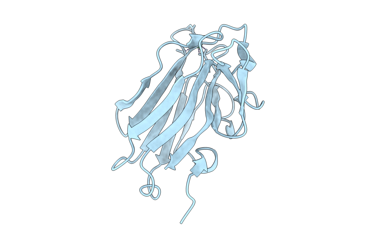 2VMH image