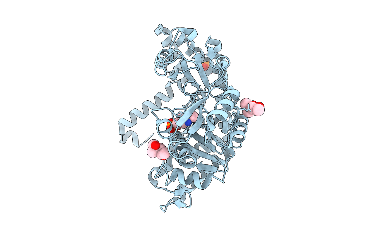 2VMN image
