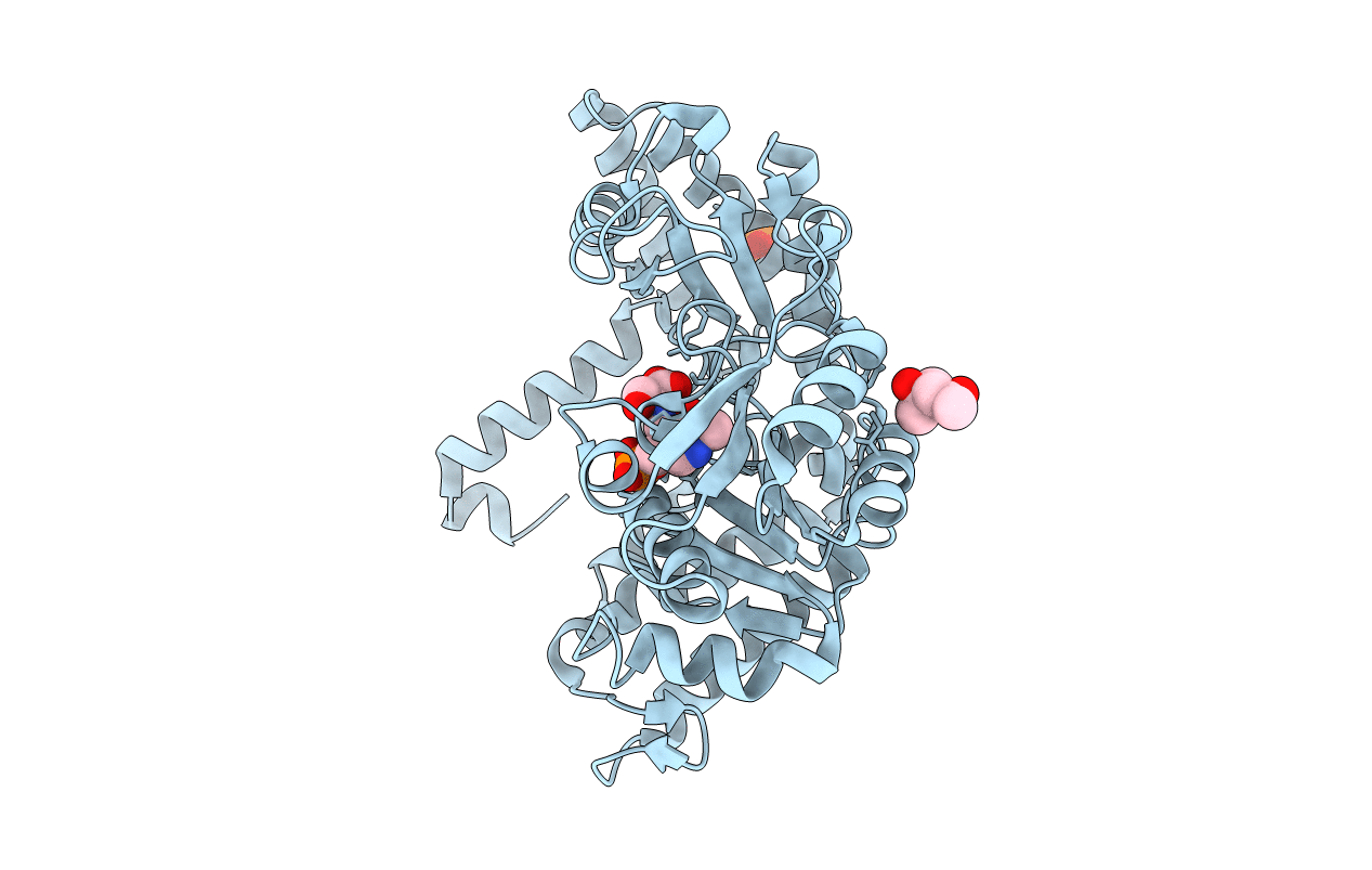 2VMT image