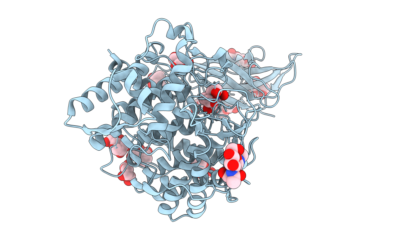 2VN4 image